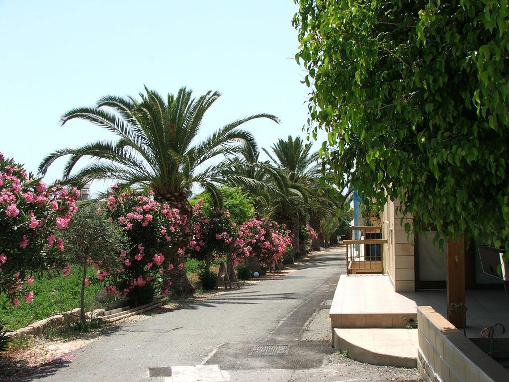 Dimma Seaside Houses Pafos Dış mekan fotoğraf