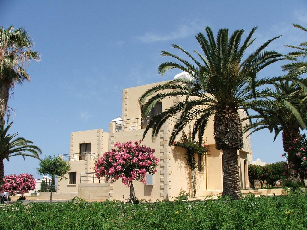 Dimma Seaside Houses Pafos Dış mekan fotoğraf