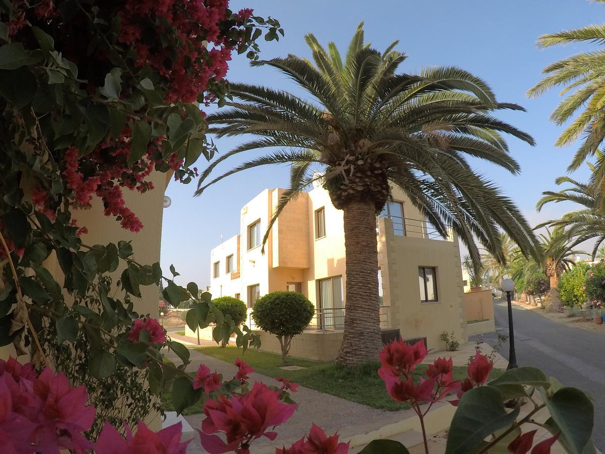 Dimma Seaside Houses Pafos Dış mekan fotoğraf