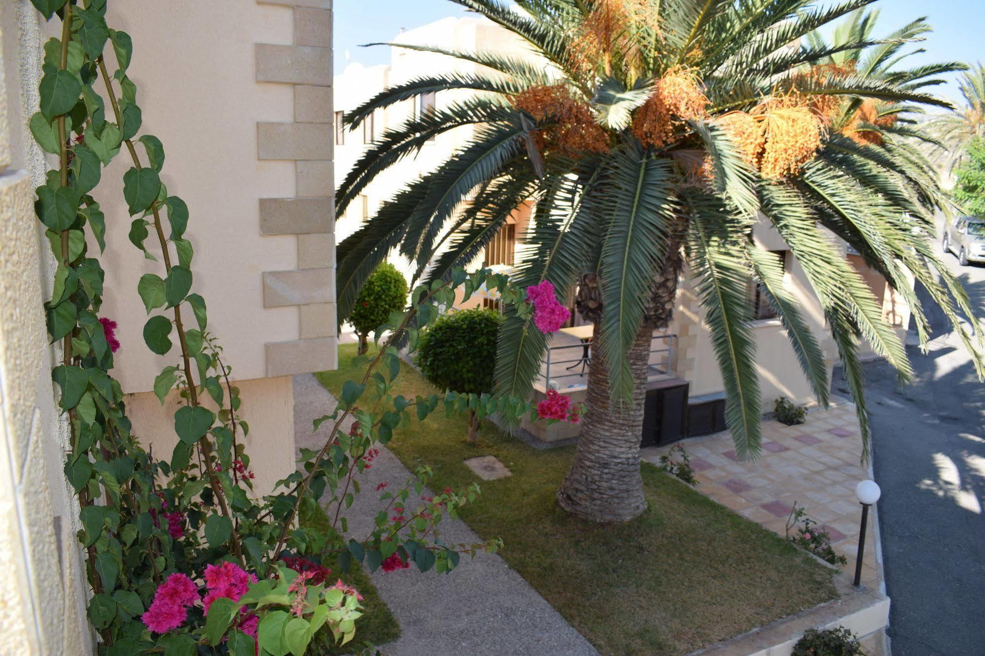 Dimma Seaside Houses Pafos Dış mekan fotoğraf