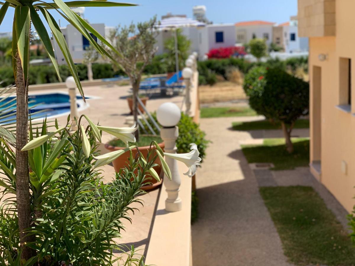 Dimma Seaside Houses Pafos Dış mekan fotoğraf